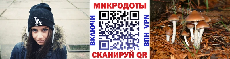 Псилоцибиновые грибы Cubensis  Рудня 